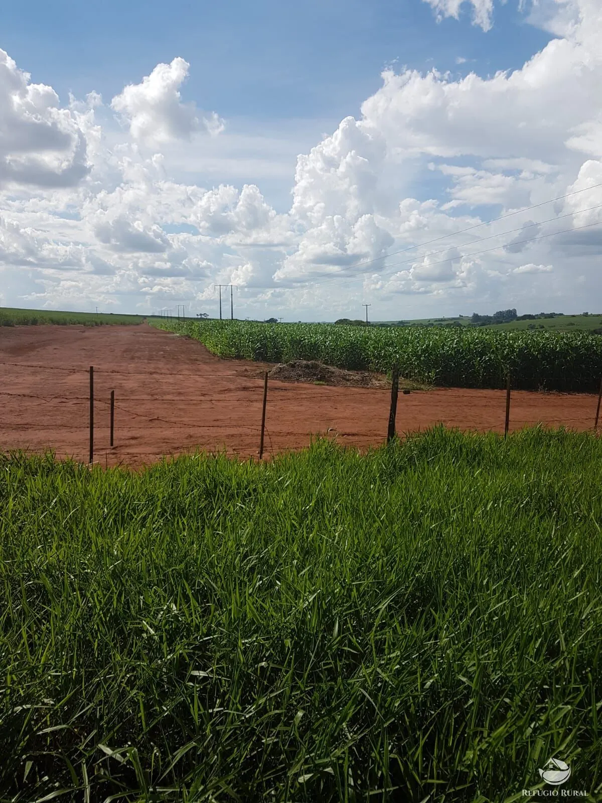 Fazenda à venda de 6.300 ha em Bonfinópolis de Minas, MG, Brasil