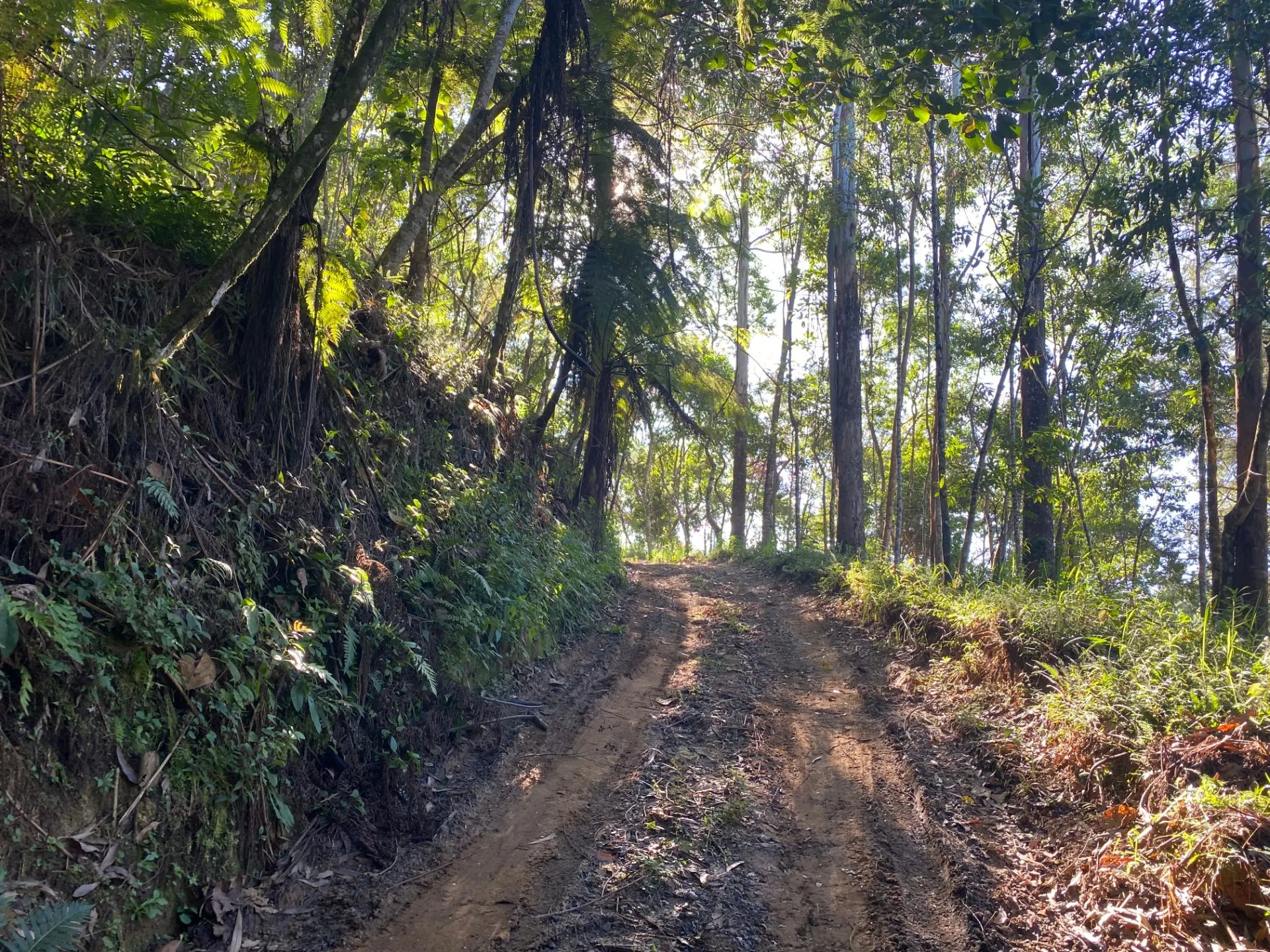 Sítio à venda de 10 ha em Monteiro Lobato, SP, Brasil