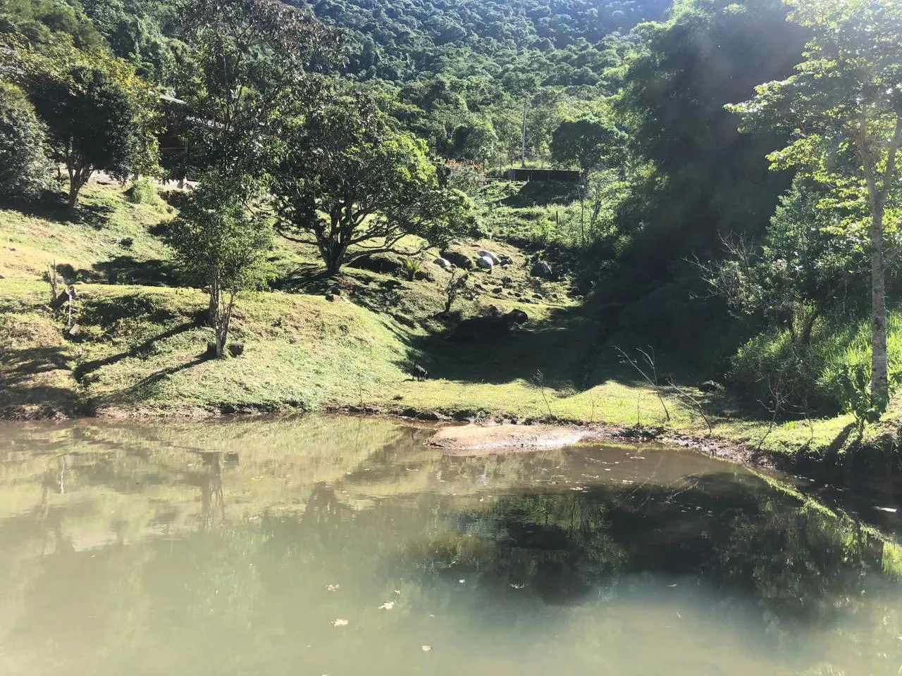 Sítio à venda de 10 ha em Monteiro Lobato, SP, Brasil