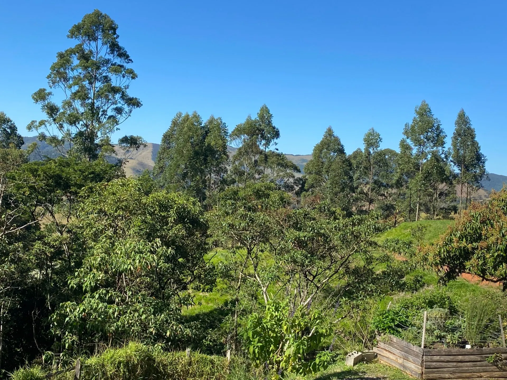 Sítio à venda de 10 ha em Monteiro Lobato, SP, Brasil