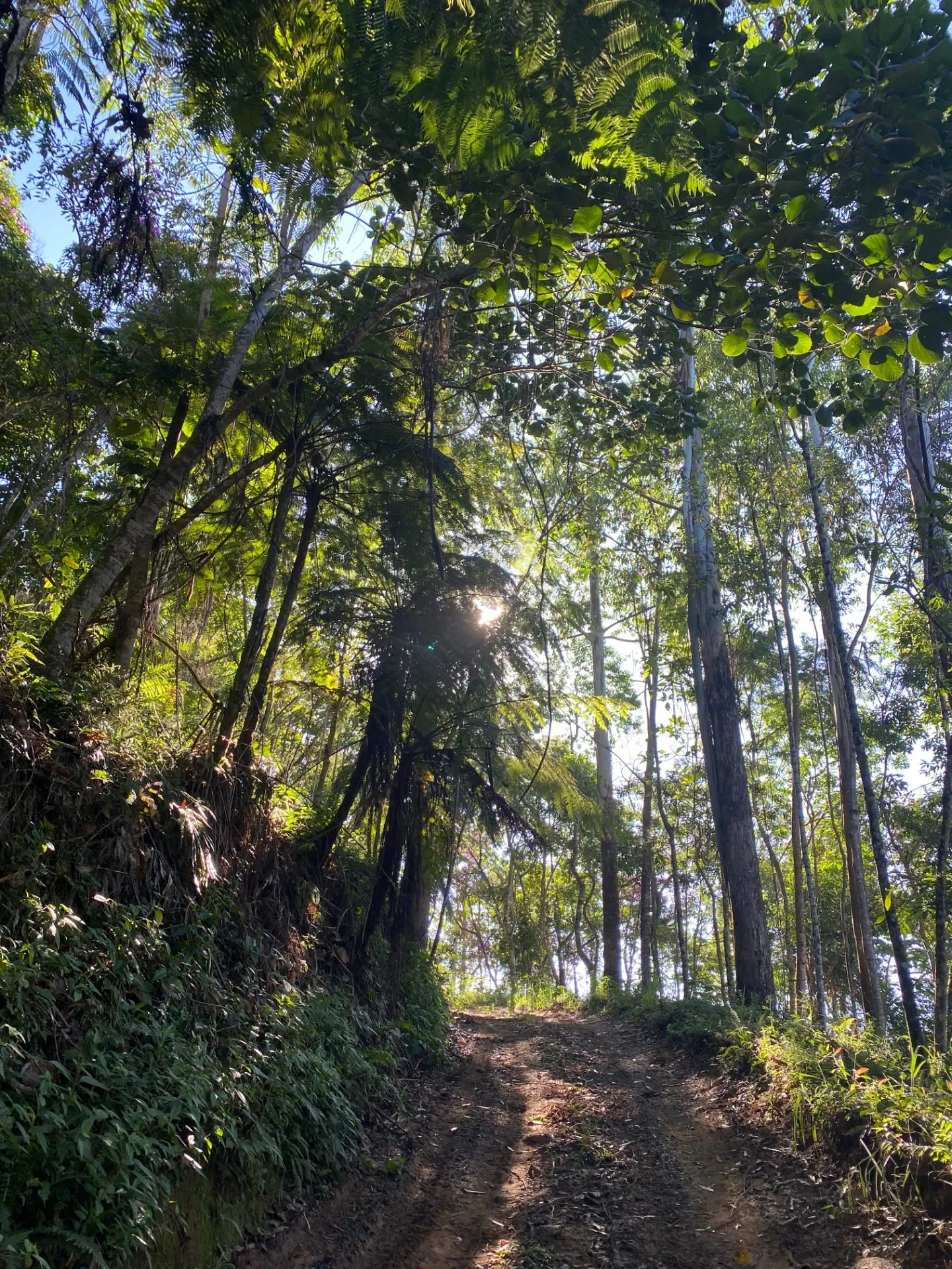 Sítio à venda de 10 ha em Monteiro Lobato, SP, Brasil