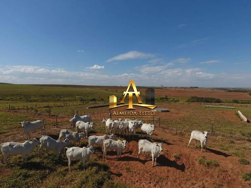 Fazenda à venda de 987 ha em Penápolis, SP, Brasil