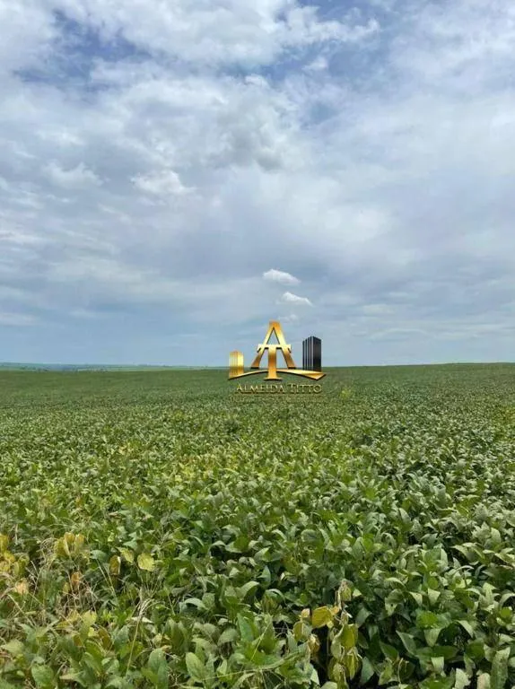 Fazenda à venda de 987 ha em Penápolis, SP, Brasil