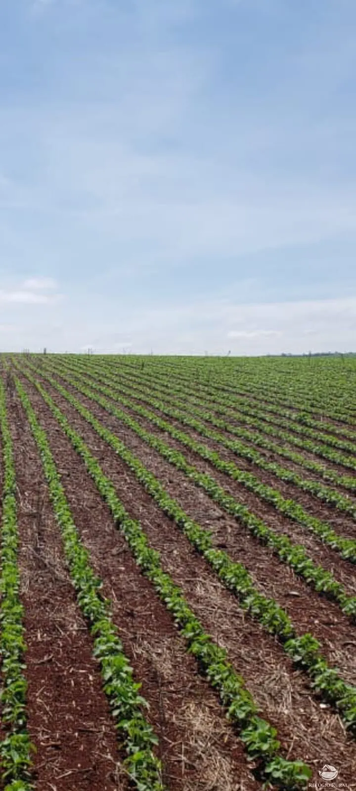 Fazenda à venda de 17.000 ha em Feliz Natal, MT, Brasil