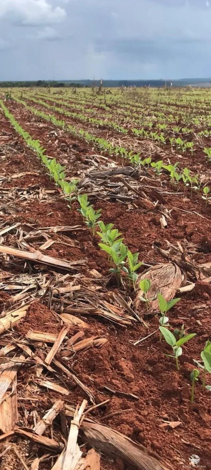 Fazenda à venda de 17.000 ha em Feliz Natal, MT, Brasil