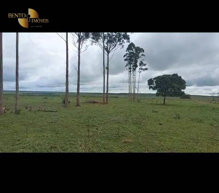 Fazenda à venda de 3.726 ha em Paranatinga, MT, Brasil