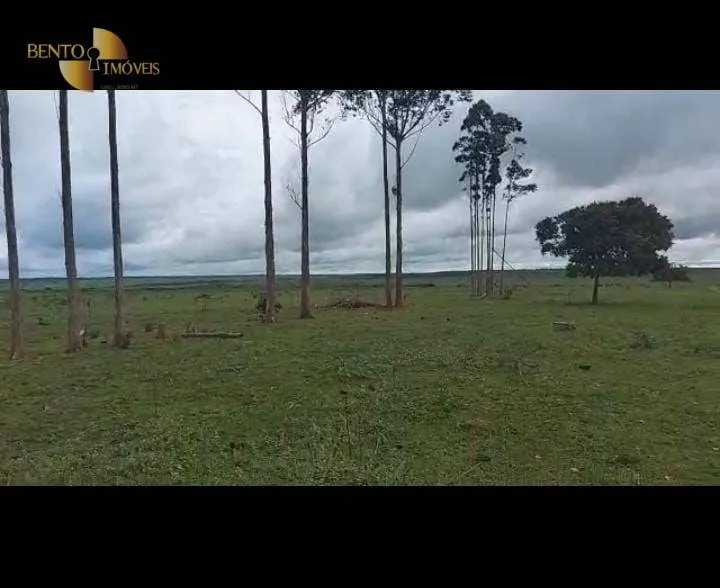 Fazenda à venda de 3.726 ha em Paranatinga, MT, Brasil