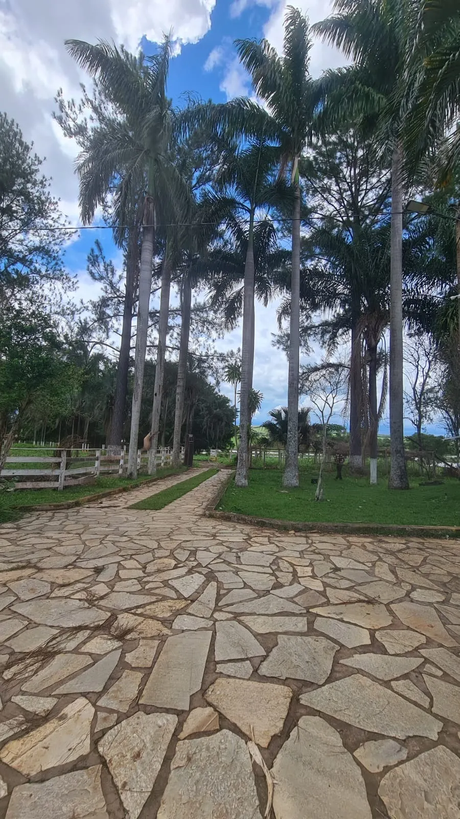 Small farm for sale of 235 acres in Cristalina, GO, Brazil