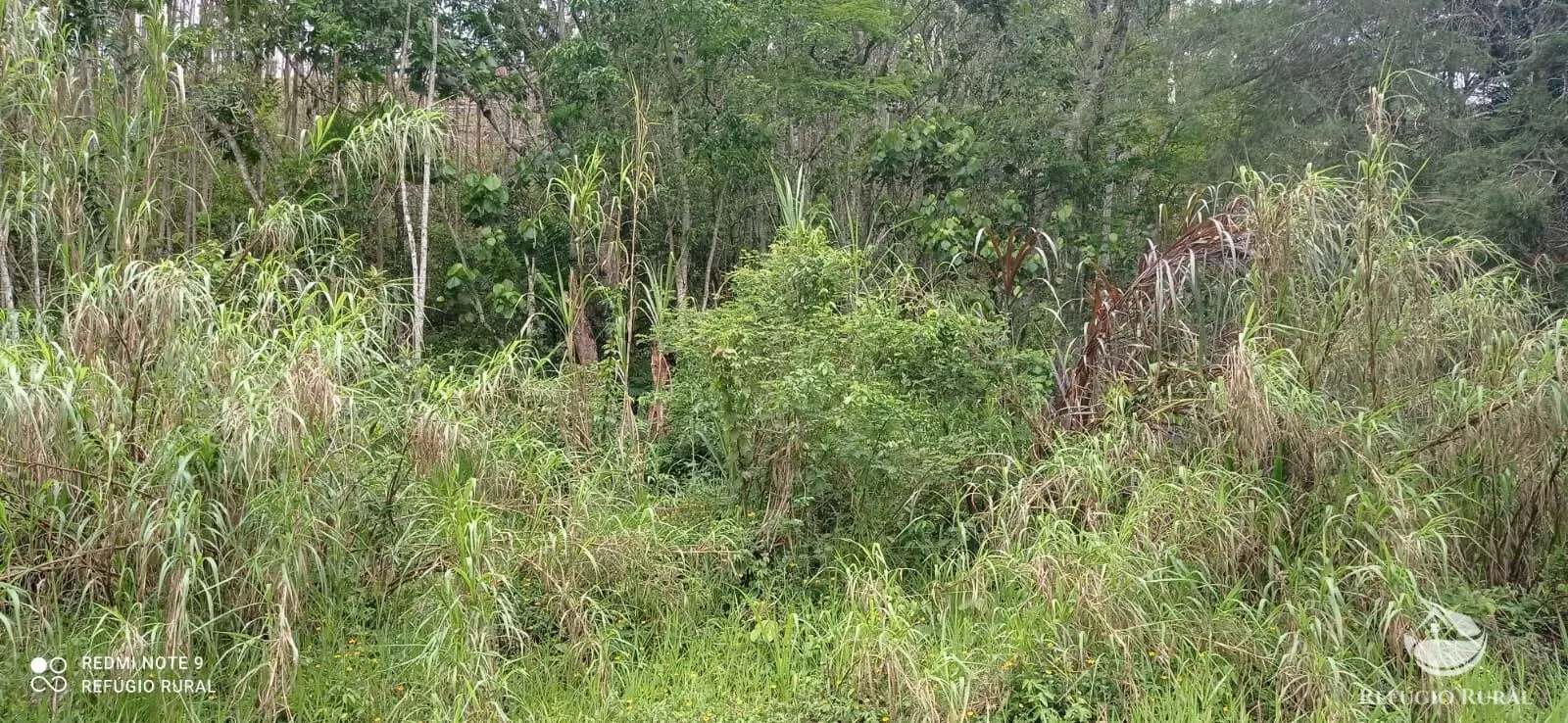 Terreno à venda de 3 ha em Monteiro Lobato, SP, Brasil