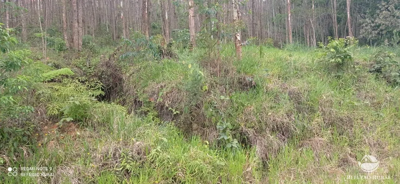 Terreno à venda de 3 ha em Monteiro Lobato, SP, Brasil