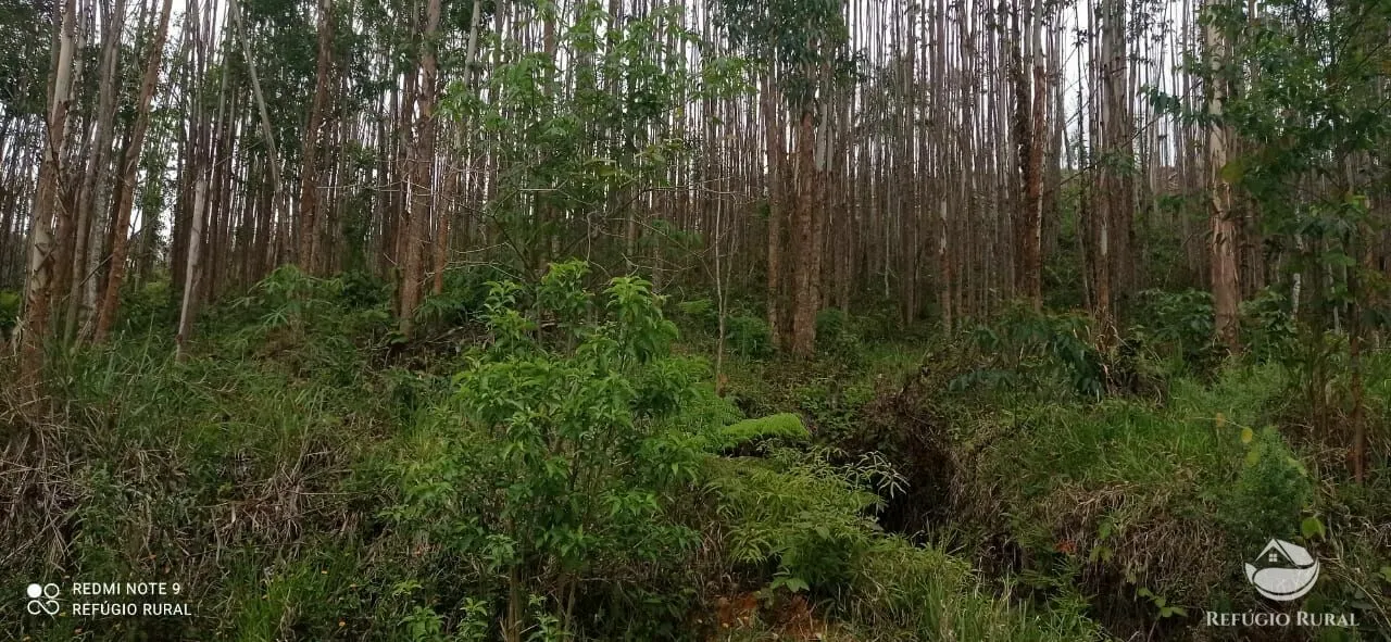 Terreno à venda de 3 ha em Monteiro Lobato, SP, Brasil