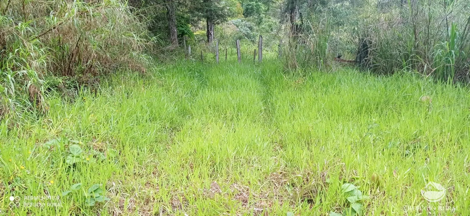 Terreno à venda de 3 ha em Monteiro Lobato, SP, Brasil