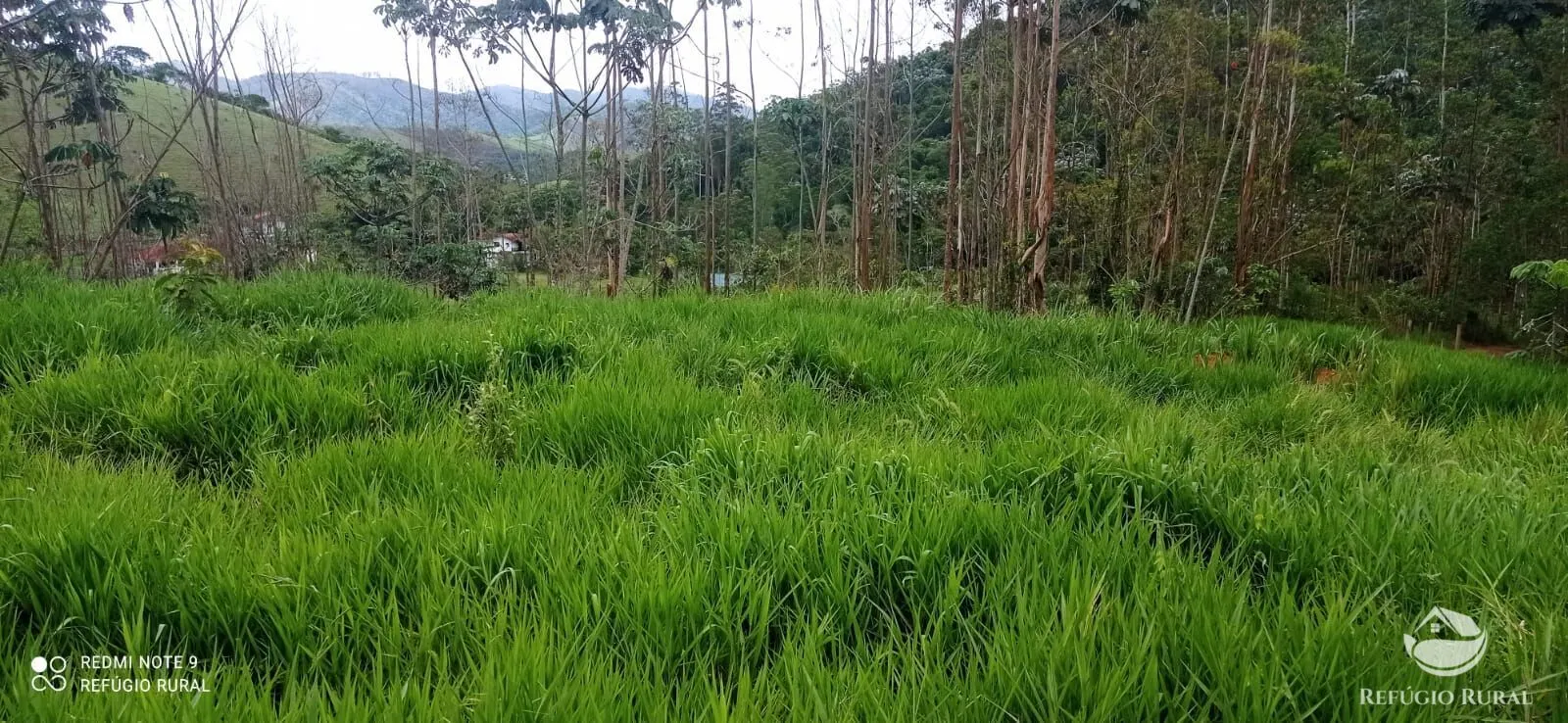 Terreno à venda de 3 ha em Monteiro Lobato, SP, Brasil