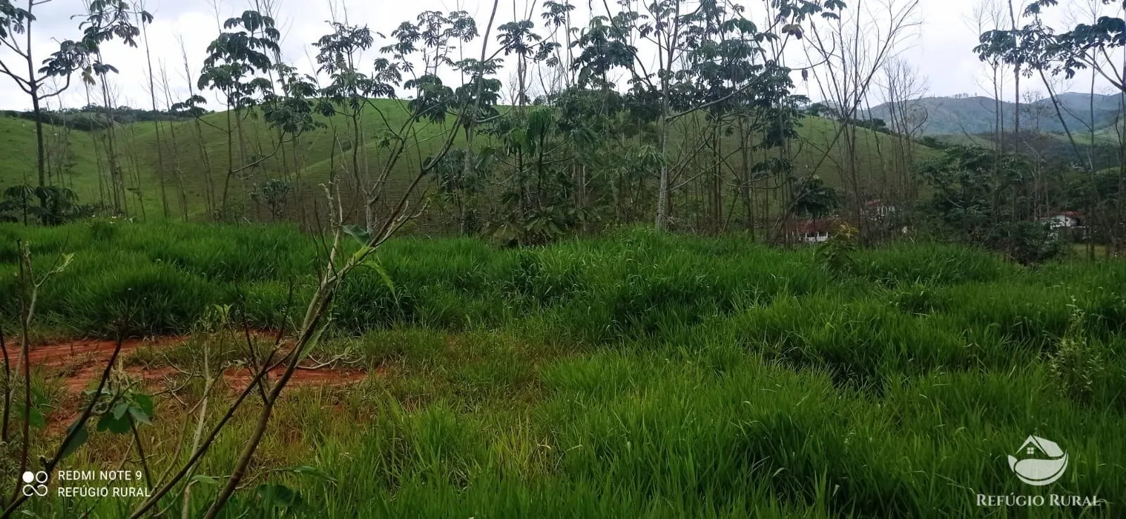 Terreno à venda de 3 ha em Monteiro Lobato, SP, Brasil