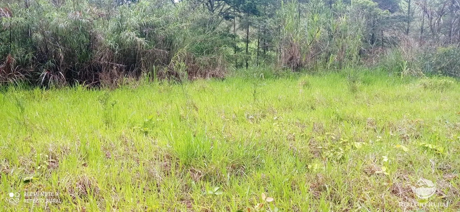 Terreno à venda de 3 ha em Monteiro Lobato, SP, Brasil