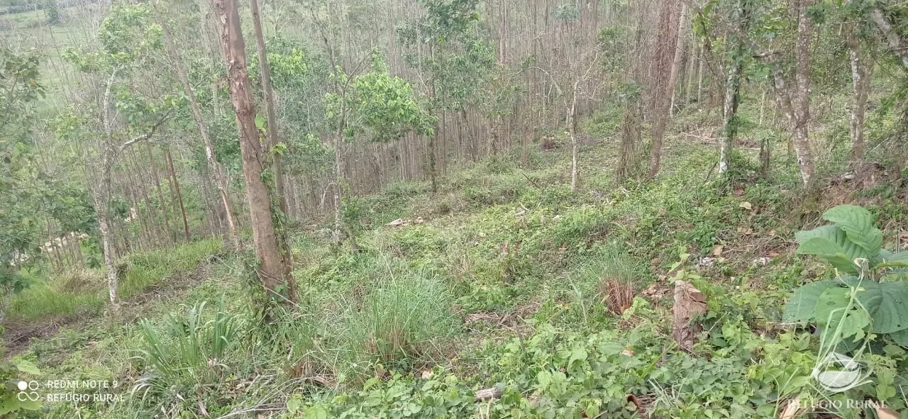 Terreno à venda de 3 ha em Monteiro Lobato, SP, Brasil