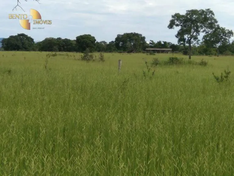 Fazenda à venda de 976 ha em Nossa Senhora do Livramento, MT, Brasil