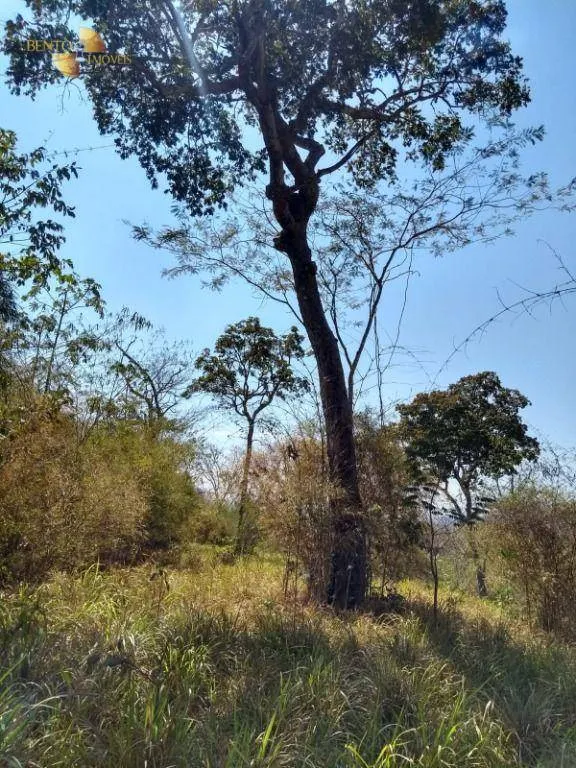 Fazenda à venda de 976 ha em Nossa Senhora do Livramento, MT, Brasil