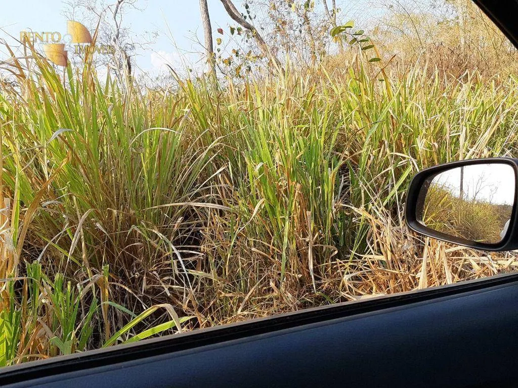 Fazenda à venda de 976 ha em Nossa Senhora do Livramento, MT, Brasil