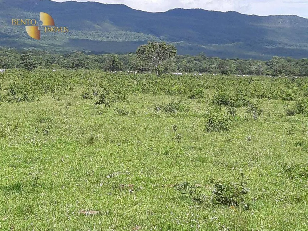 Fazenda à venda de 976 ha em Nossa Senhora do Livramento, MT, Brasil