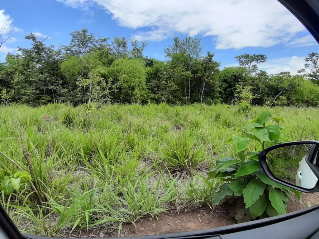 Fazenda à venda de 976 ha em Nossa Senhora do Livramento, MT, Brasil