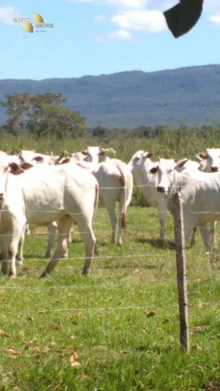 Fazenda à venda de 976 ha em Nossa Senhora do Livramento, MT, Brasil