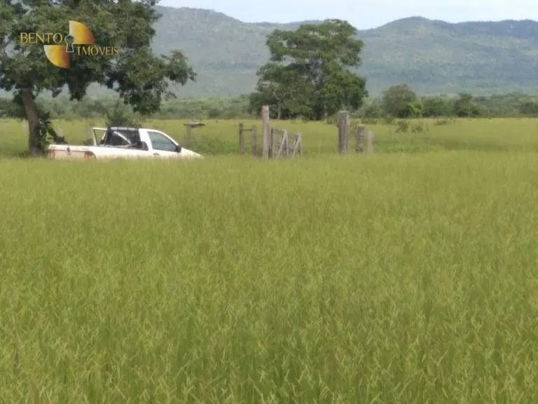 Fazenda à venda de 976 ha em Nossa Senhora do Livramento, MT, Brasil
