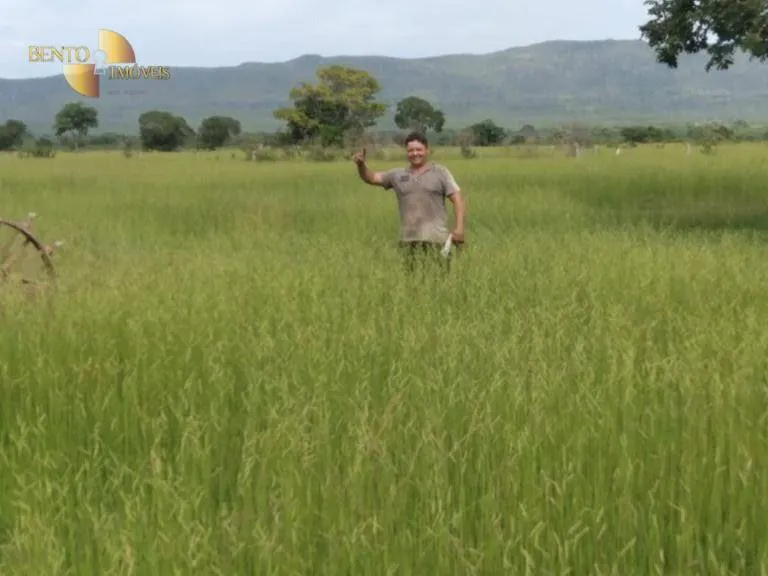 Fazenda à venda de 976 ha em Nossa Senhora do Livramento, MT, Brasil