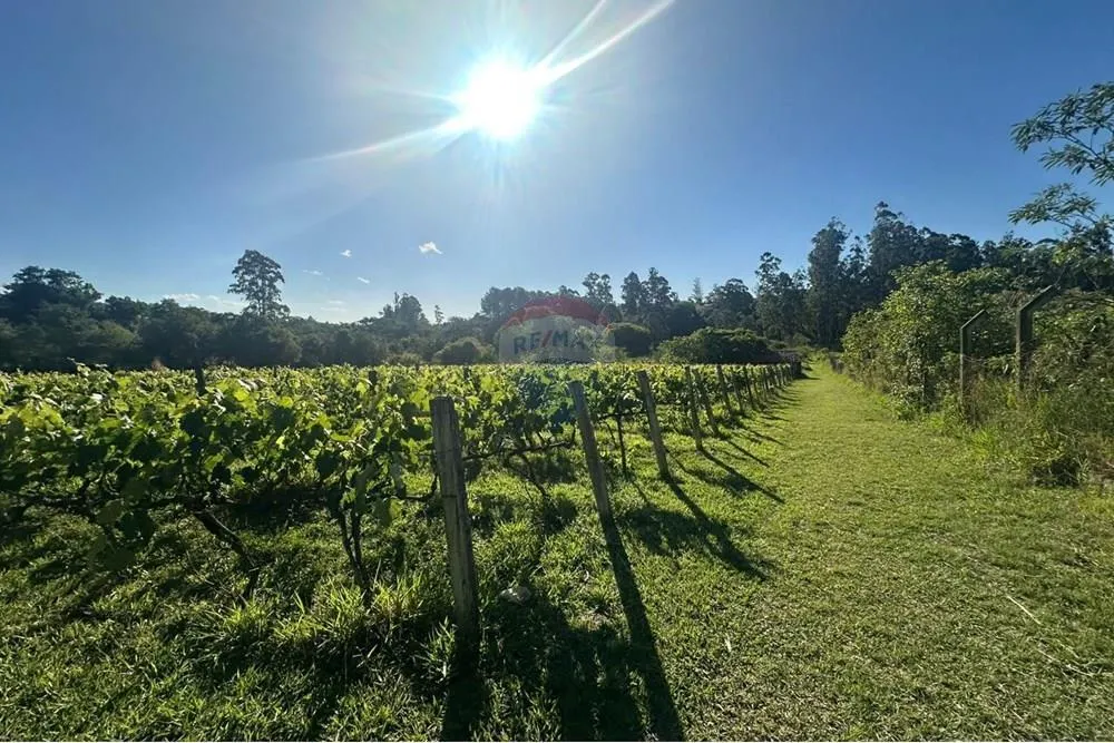 Small farm for sale of 12 acres in Jundiaí, SP, Brazil