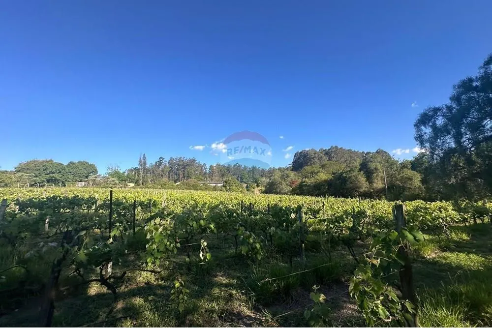 Small farm for sale of 12 acres in Jundiaí, SP, Brazil