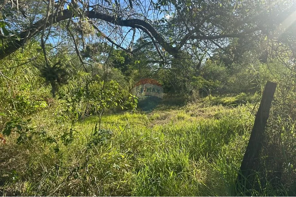 Small farm for sale of 12 acres in Jundiaí, SP, Brazil