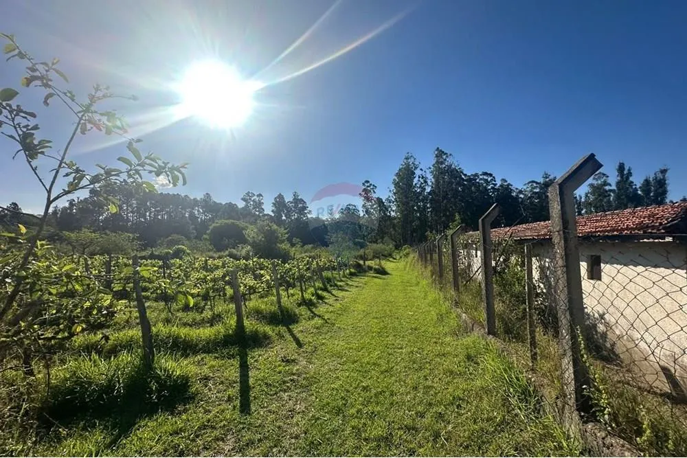 Small farm for sale of 12 acres in Jundiaí, SP, Brazil