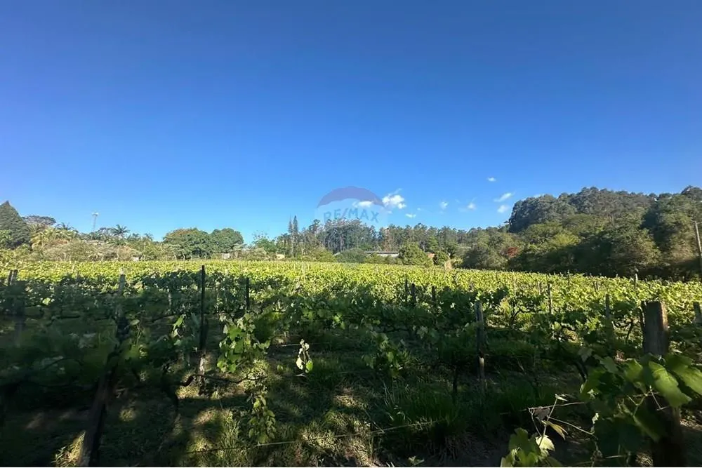 Small farm for sale of 12 acres in Jundiaí, SP, Brazil