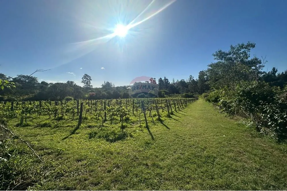 Small farm for sale of 12 acres in Jundiaí, SP, Brazil
