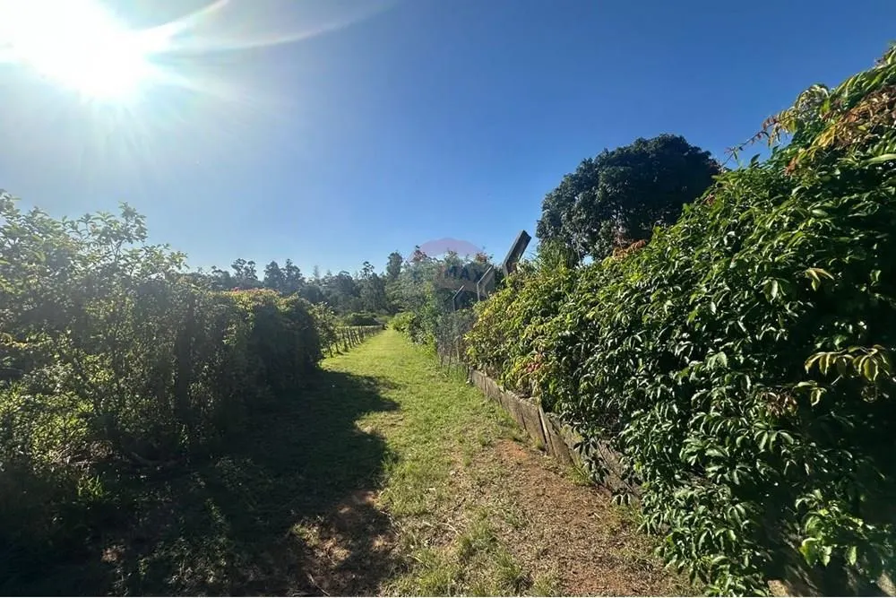 Small farm for sale of 12 acres in Jundiaí, SP, Brazil