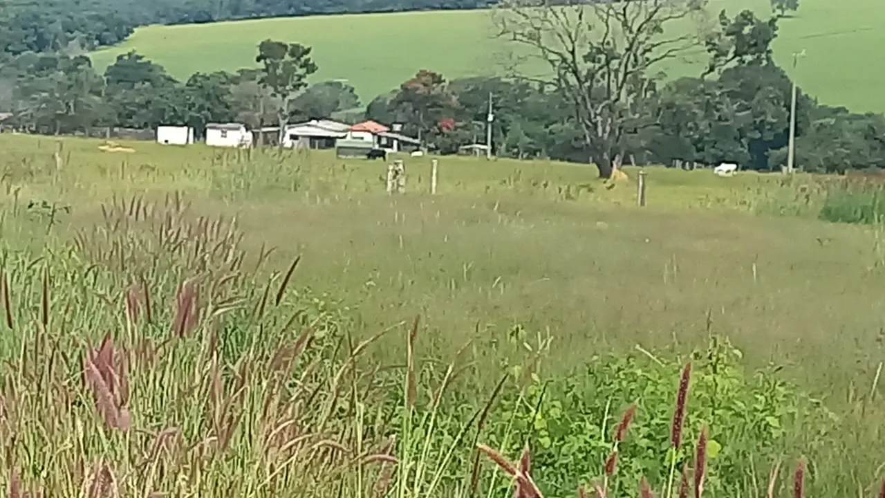 Fazenda à venda de 706 ha em Campo Alegre de Goiás, GO, Brasil