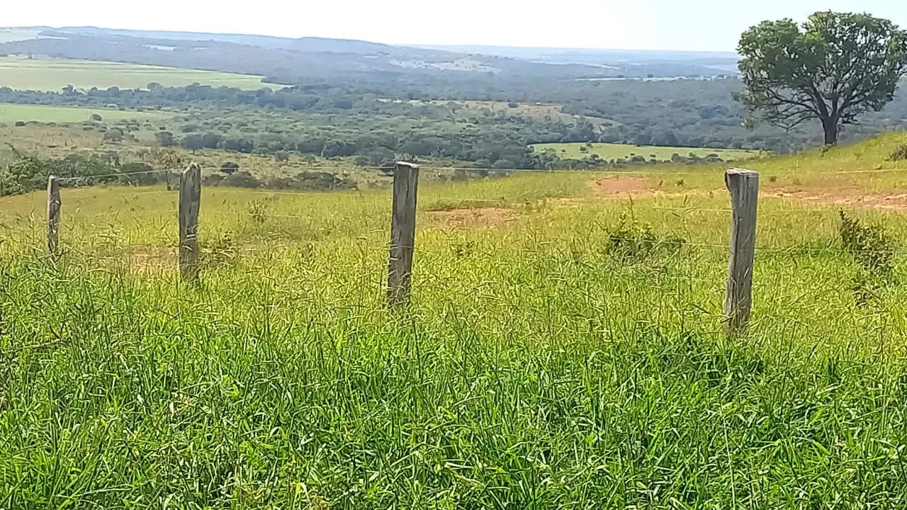 Fazenda à venda de 706 ha em Campo Alegre de Goiás, GO, Brasil