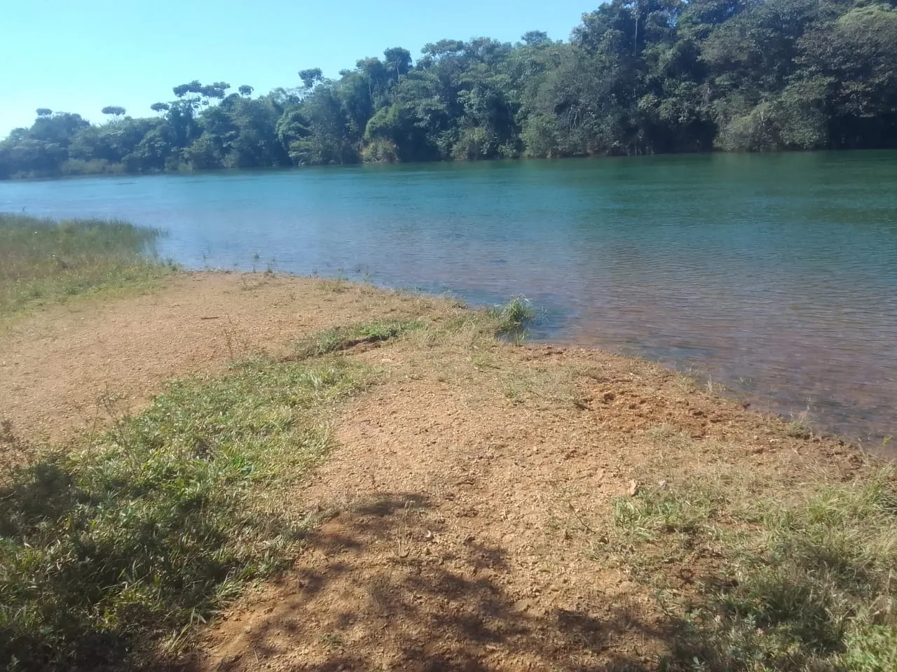 Fazenda à venda de 706 ha em Campo Alegre de Goiás, GO, Brasil