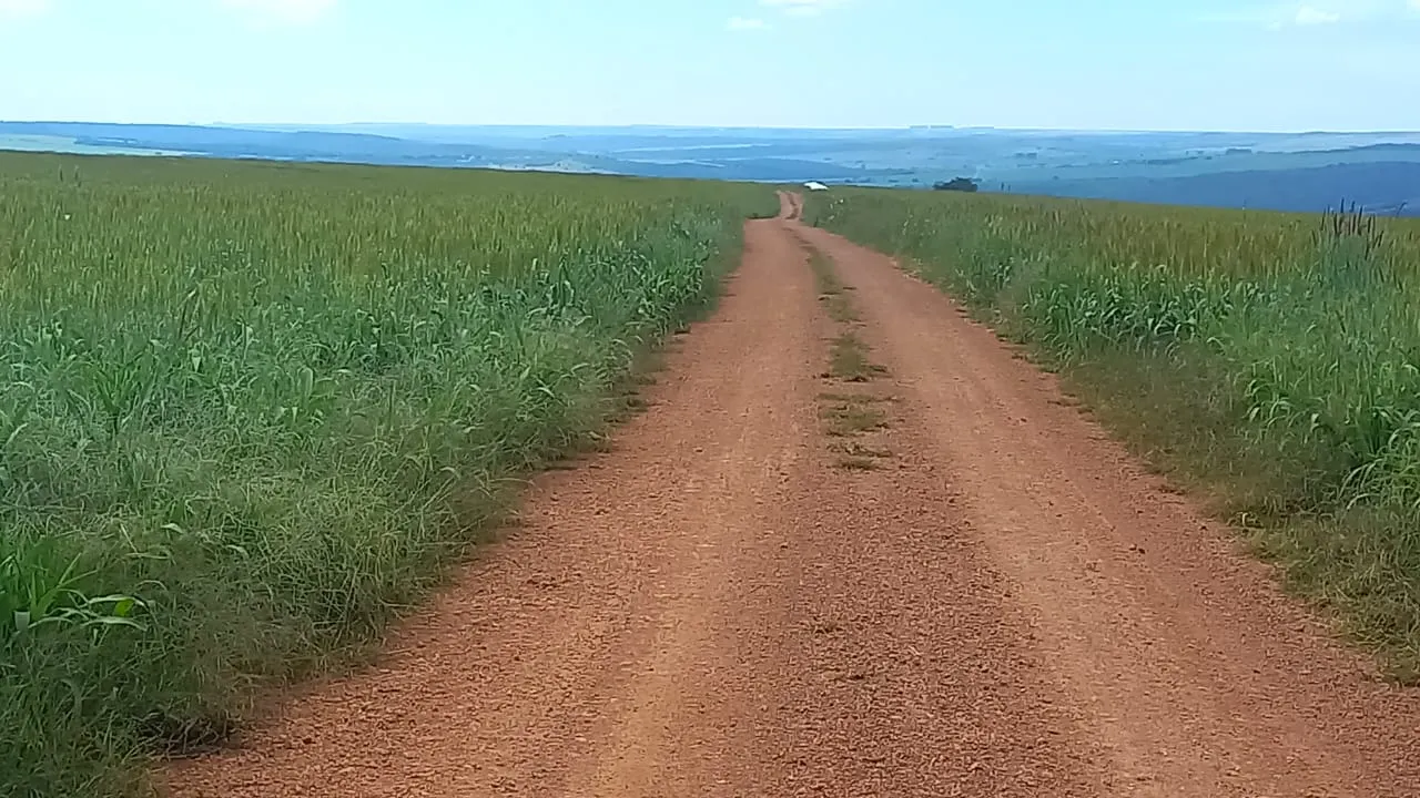 Fazenda à venda de 706 ha em Campo Alegre de Goiás, GO, Brasil