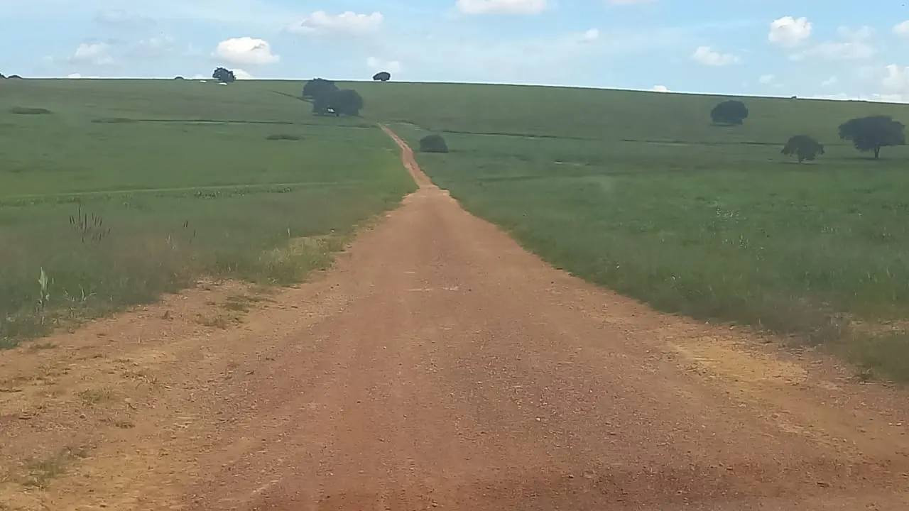 Fazenda à venda de 706 ha em Campo Alegre de Goiás, GO, Brasil