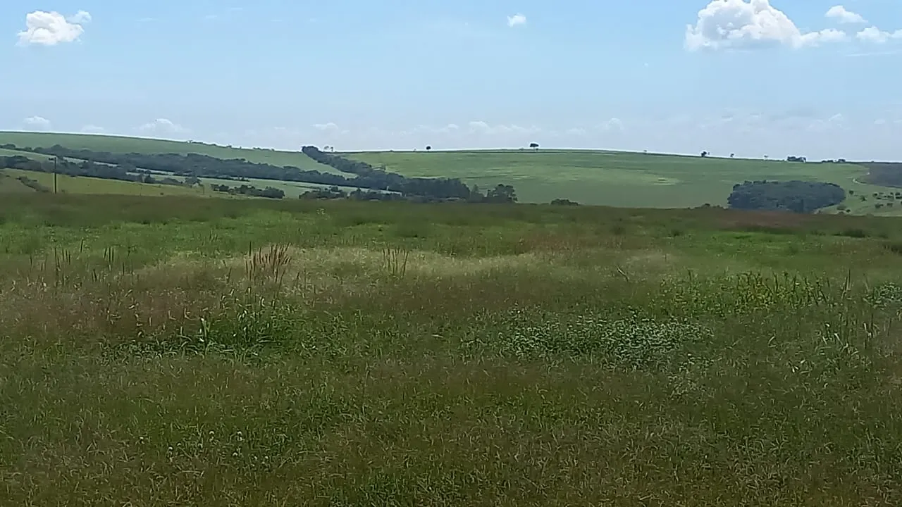 Fazenda à venda de 706 ha em Campo Alegre de Goiás, GO, Brasil