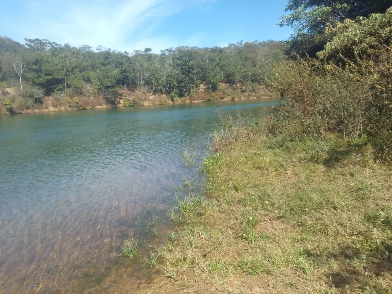 Fazenda à venda de 706 ha em Campo Alegre de Goiás, GO, Brasil