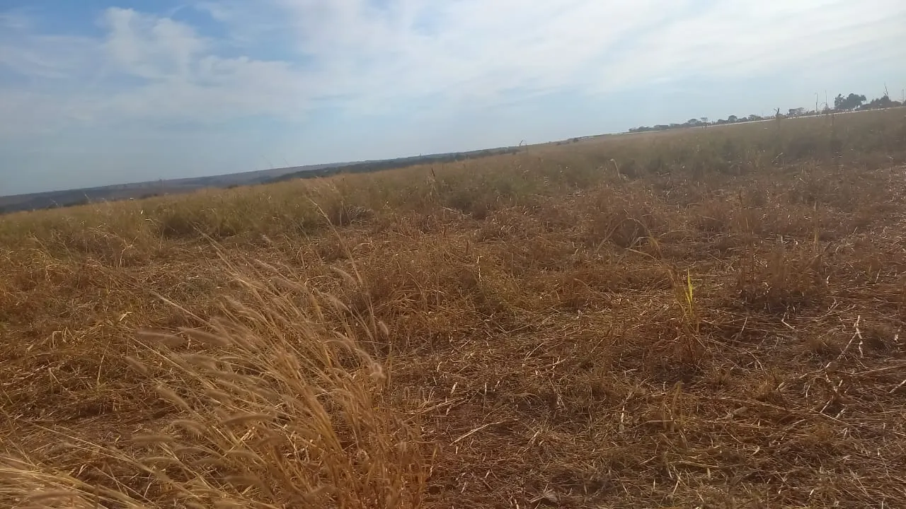 Fazenda à venda de 706 ha em Campo Alegre de Goiás, GO, Brasil