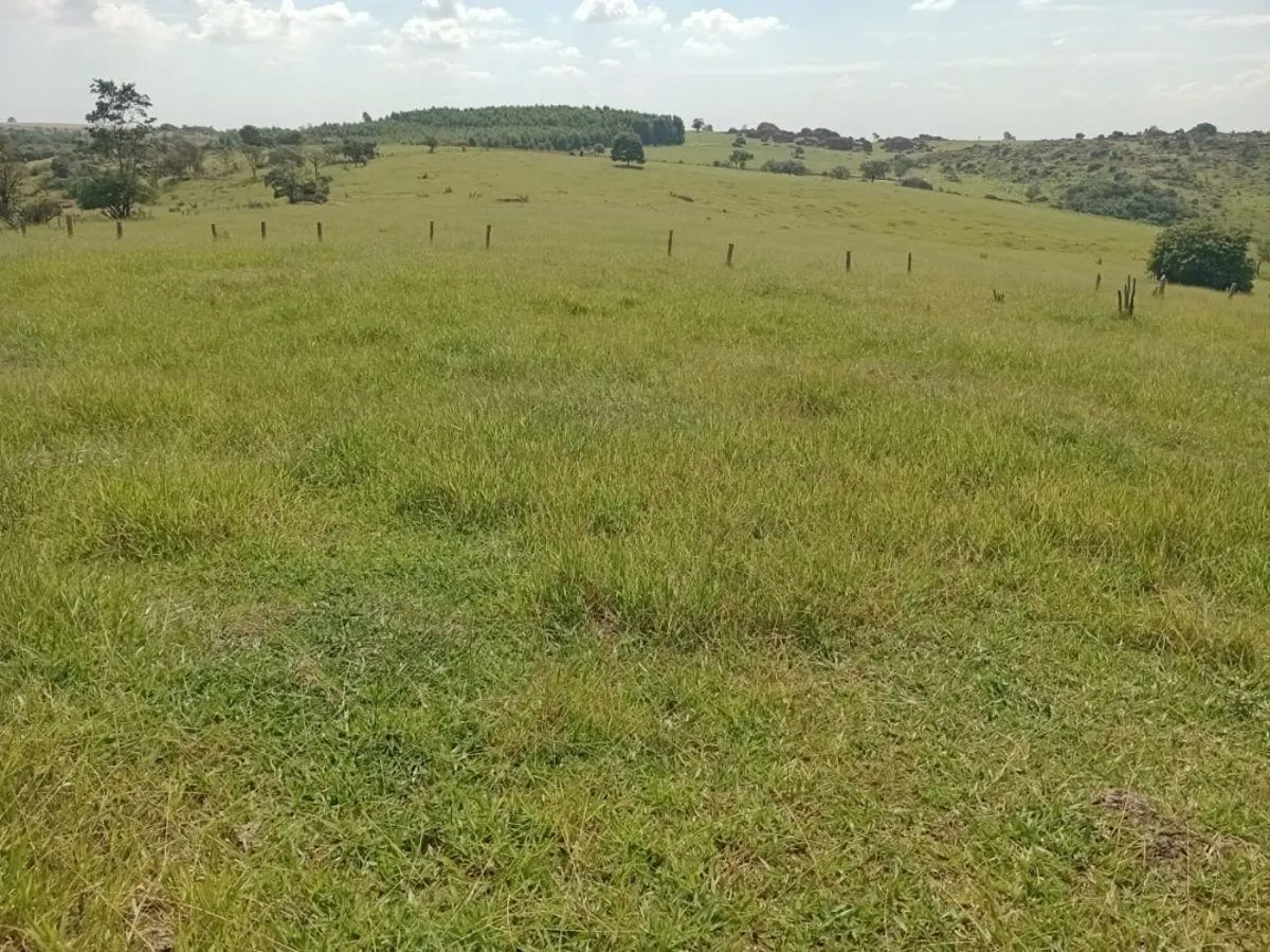 Fazenda à venda de 218 ha em Indaiatuba, SP, Brasil