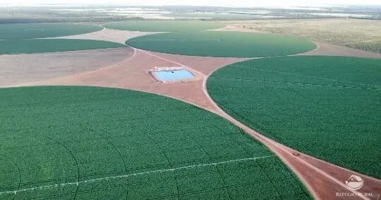 Fazenda à venda de 957 ha em Paracatu, MG, Brasil