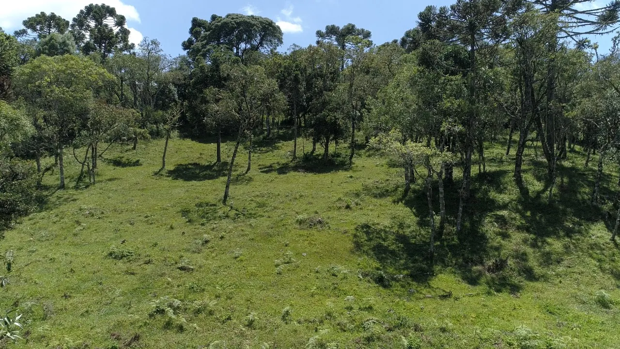 Sítio à venda de 16 ha em Urubici, SC, Brasil