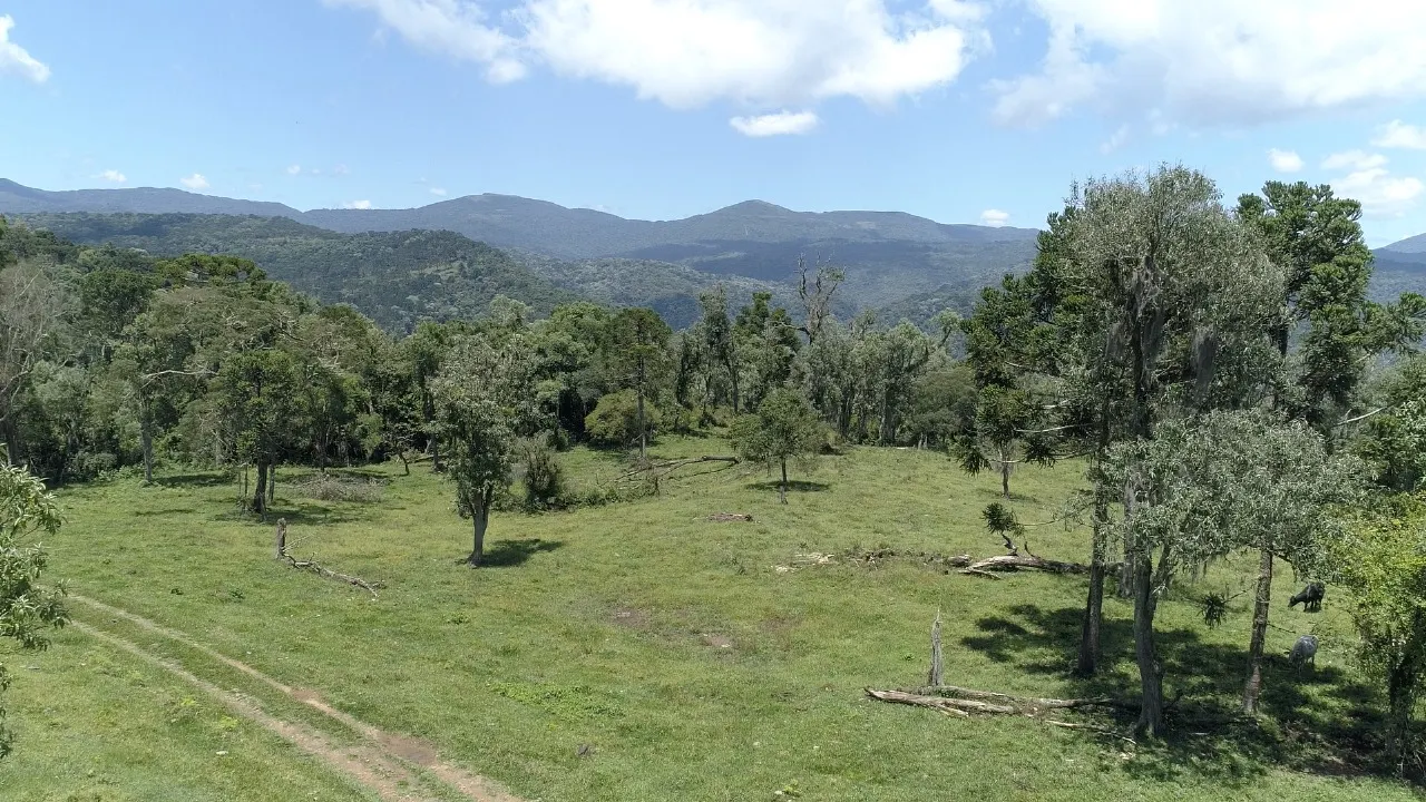 Sítio à venda de 16 ha em Urubici, SC, Brasil