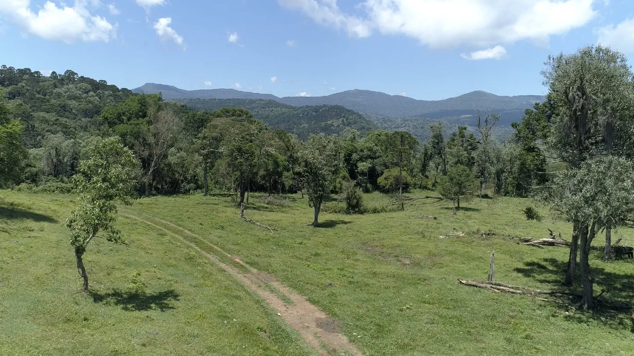 Sítio à venda de 16 ha em Urubici, SC, Brasil