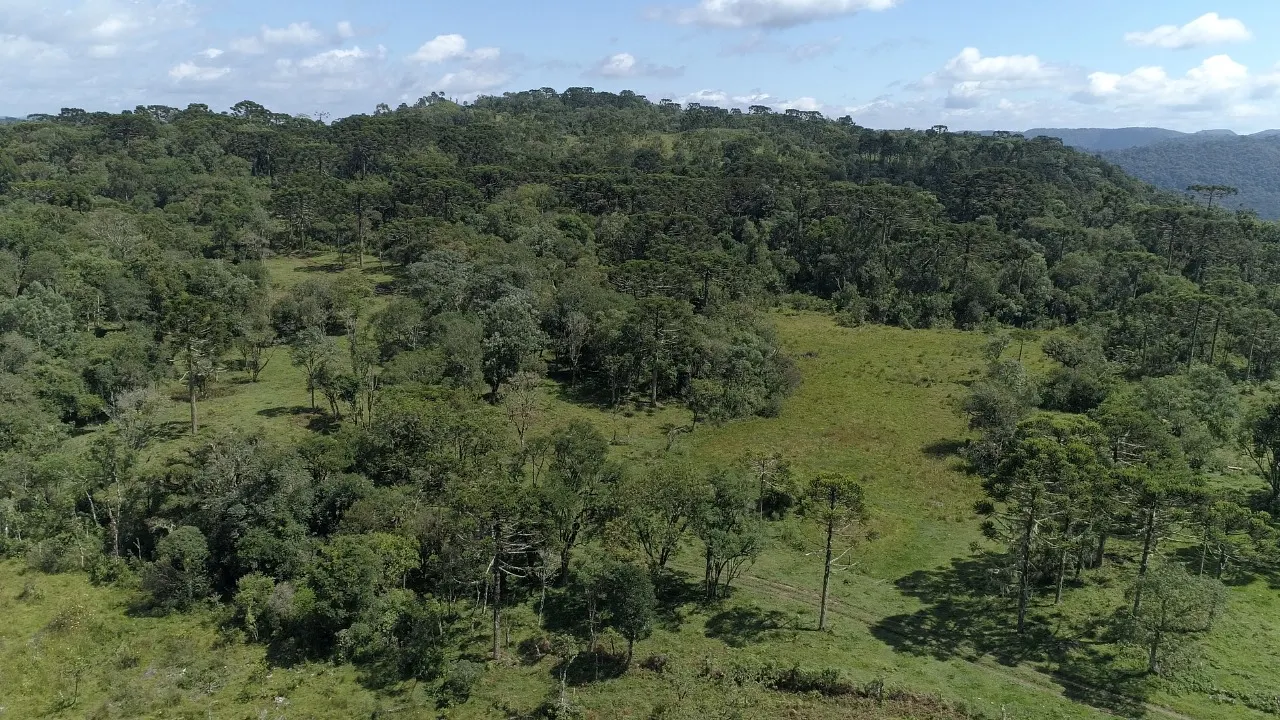 Sítio à venda de 16 ha em Urubici, SC, Brasil