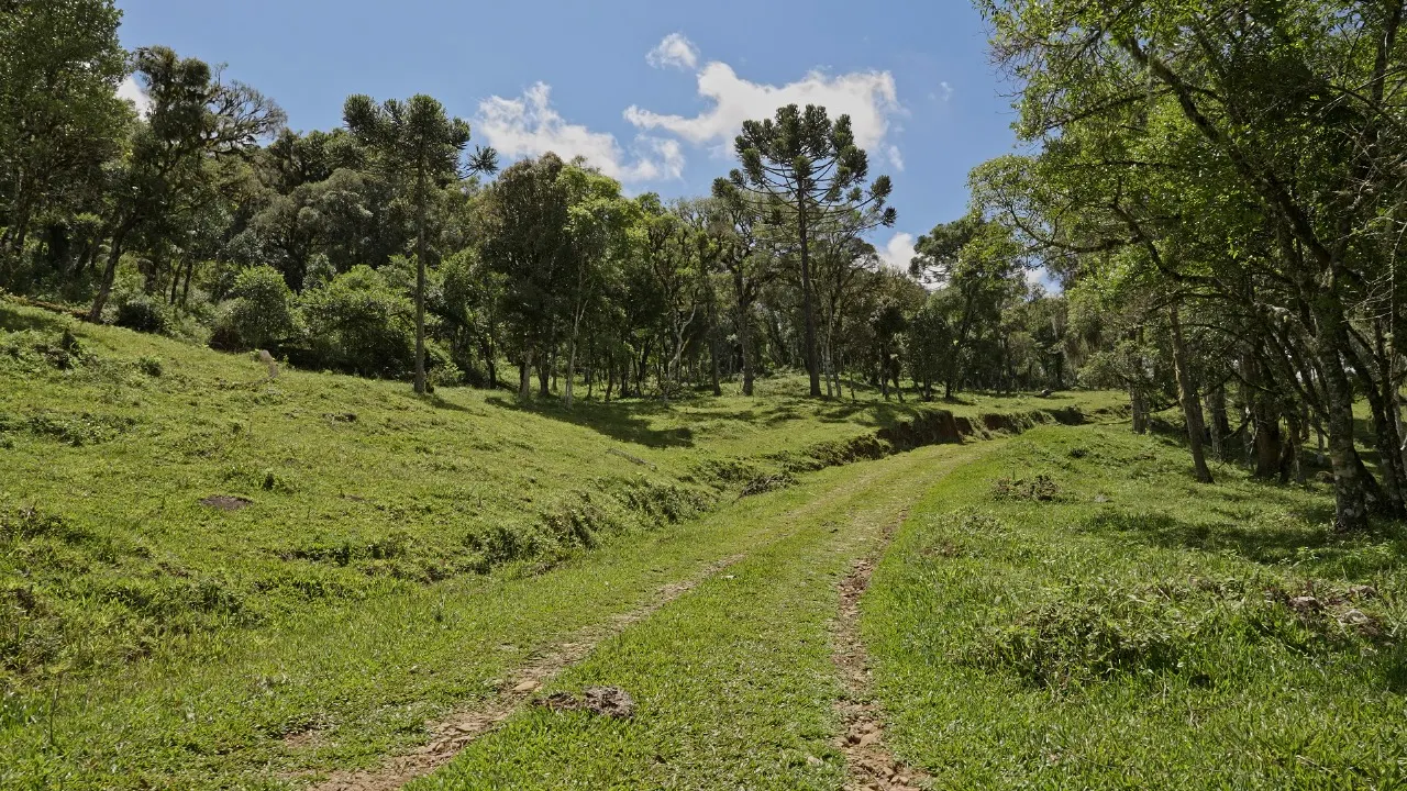 Sítio à venda de 16 ha em Urubici, SC, Brasil